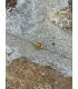 Bracelet en Calcite sertie rond Argent rhodié